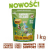 Dry Dog Food Animal Island Beef 1kg