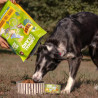 Dry Dog Food Animal Island Beef 3 kg