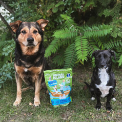 Karma sucha dla psa Animal Island Łosoś 12 kg
