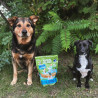 Dry Dog Food Animal Island Salmon 12 kg