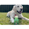 Dog Treats Dogtail Lamb Soup 280g