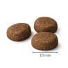Karma sucha dla kota Ibero Grain Free Venison 10kg z dziczyzną