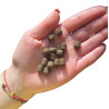 Dry Dog Food FARMA Lamb for Puppies 2kg
