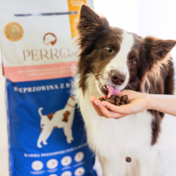 Karma sucha dla psa PERRO Wieprzowina z batatami średnie i duże rasy 12kg