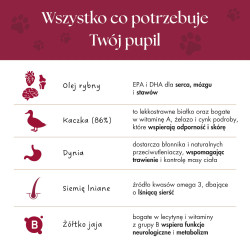 Karma pełnoporcjowa dla psa Kaczka z dynią 1000g Adult Dog liofilizowana