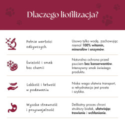 Karma pełnoporcjowa dla psa Kaczka z dynią 1000g Adult Dog liofilizowana